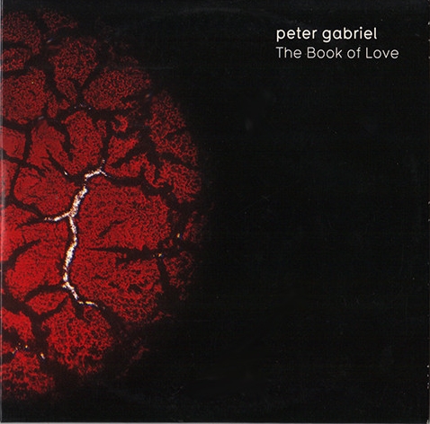 Peter Gabriel > The Book Of Love